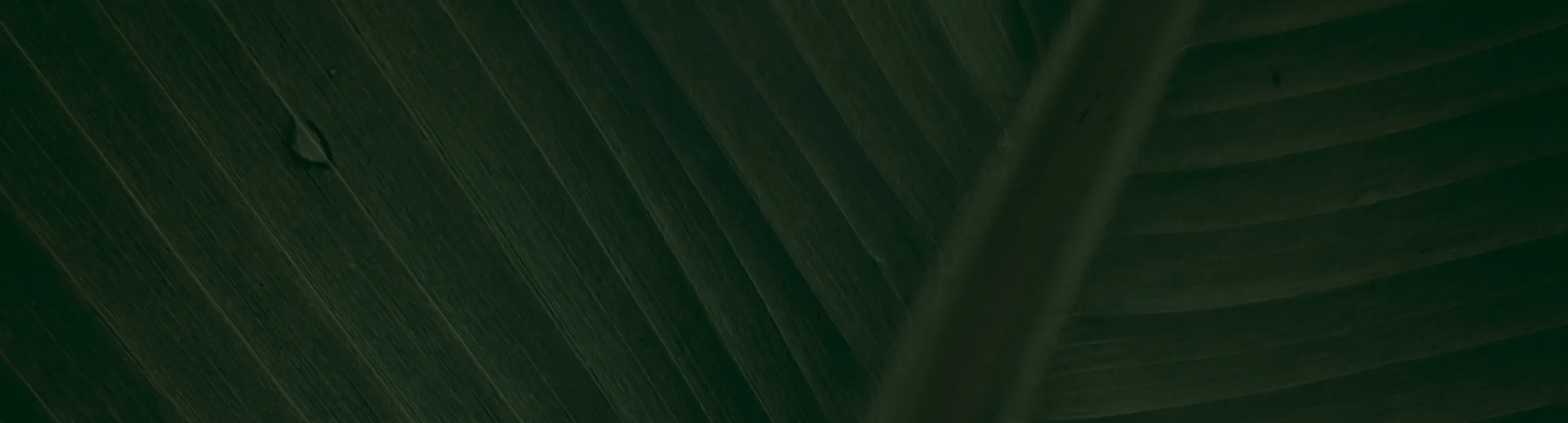 hero-image_optimized Miracle-Gro Autumn Lawn Care – 12.6kg Bag (Covers up to 360m²)