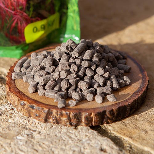 Acer Feed 0.9Kg (4) Vitax Acer Feed 0.9Kg – Organic Fertiliser for Healthy Leaves & Vibrant Colours