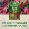 Acer Feed 0.9Kg (5) Vitax Acer Feed 0.9Kg – Organic Fertiliser for Healthy Leaves & Vibrant Colours