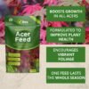Acer Feed 0.9Kg (6) Vitax Acer Feed 0.9Kg – Organic Fertiliser for Healthy Leaves & Vibrant Colours