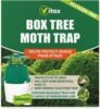Box Tree Moth Trap (1) Vitax Box Tree Moth Trap – Pheromone Moth Trap with 12-Week Lure for Monitoring and Controlling Box Tree Moths