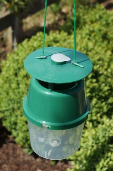 Box Tree Moth Trap (5) Vitax Box Tree Moth Trap – Pheromone Moth Trap with 12-Week Lure for Monitoring and Controlling Box Tree Moths