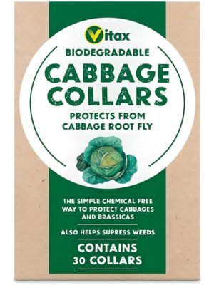 Cabbage Collars (1) Cabbage Collars