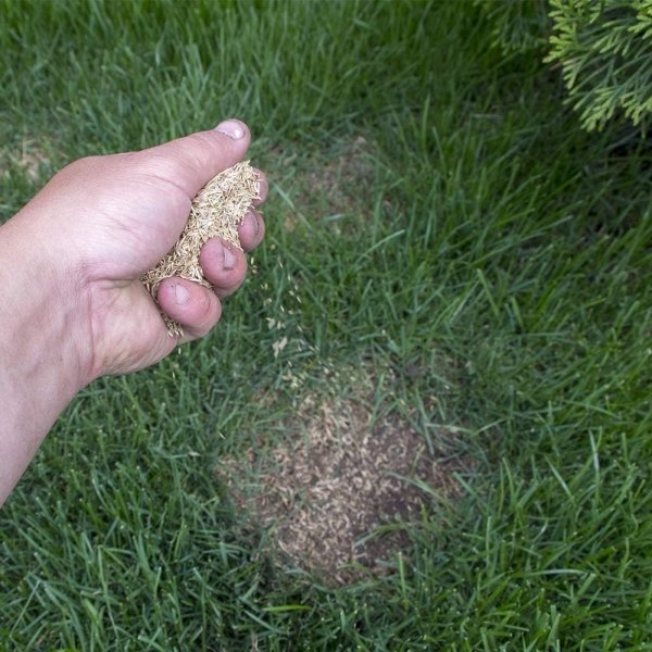 Doff 5 In 1 Lawn Fix Grass Seed 2.25kg