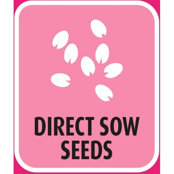 Doff 5 In 1 Lawn Fix Grass Seed 2.25kg