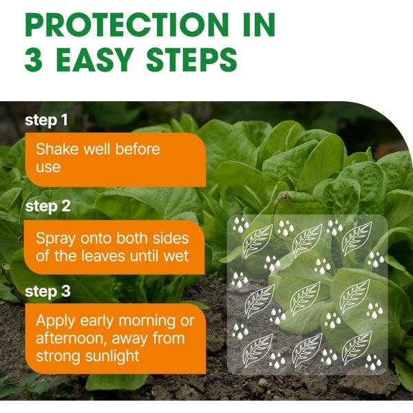 Doff Universal Bug & Fungus Control 1L