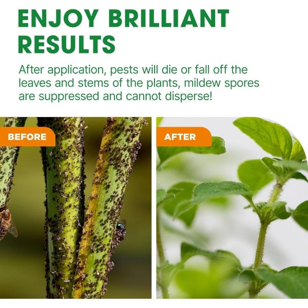 Doff Universal Bug & Fungus Control 1L