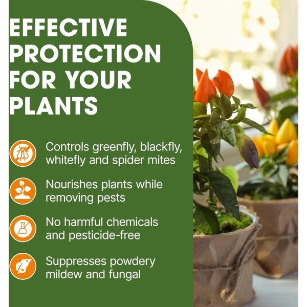 Doff Universal Bug & Fungus Control 1L