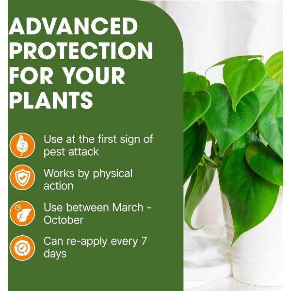 Doff Universal Bug & Fungus Control 1L