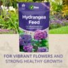 Hydrangea Feed 1Kg (2) Vitax Hydrangea Feed 1Kg – Granular Fertiliser for Healthy Growth & Abundant Blooms