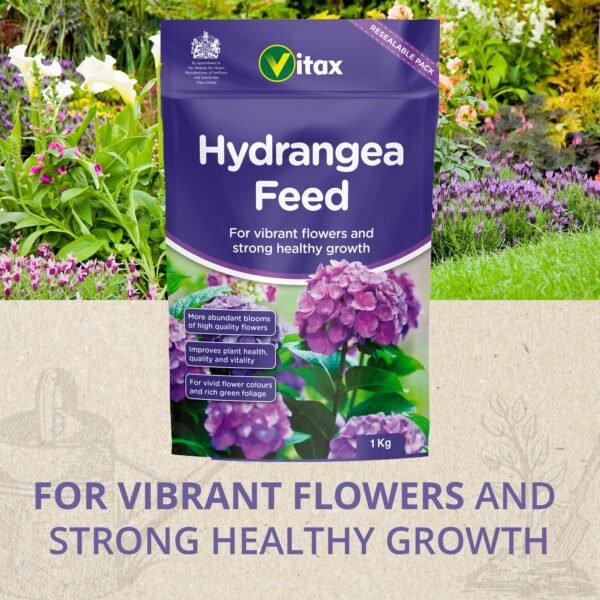 Hydrangea Feed 1Kg (2) Vitax Hydrangea Feed 1Kg – Granular Fertiliser for Healthy Growth & Abundant Blooms