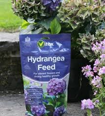 Hydrangea Feed 1Kg (3) Vitax Hydrangea Feed 1Kg – Granular Fertiliser for Healthy Growth & Abundant Blooms