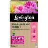 Levingtion Sulphate of Iron 1.5Kg (1) Levington Sulphate of Iron 1.5kg – Lawn Tonic & Soil Conditioner for Greener Grass