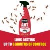 Nippon Ant & Insect Killer RTU 750ml