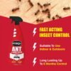 Nippon Ant & Insect Killer RTU 750ml