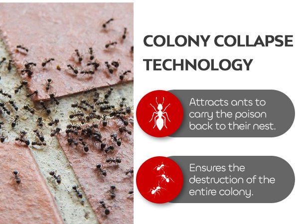 Nippon Ant Killer Powder 500g (2) Nippon Ant Killer Powder 500g – Long-Lasting Indoor & Outdoor Insect Control