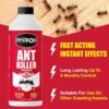 Nippon Ant Killer Powder 500g (5) Nippon Ant Killer Powder 500g – Long-Lasting Indoor & Outdoor Insect Control