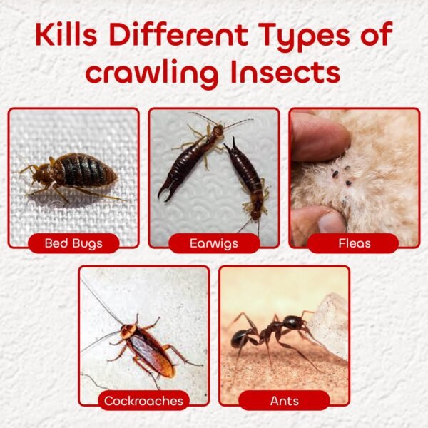 Nippon Ant Killer Powder 500g (6) Nippon Ant Killer Powder 500g – Long-Lasting Indoor & Outdoor Insect Control