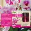 Orchid Drip Feed 30ml x 10