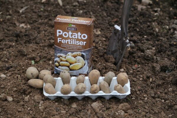 Organic Potato Fertiliser 1kg (1) Vitax Organic Potato Fertiliser 1Kg – Slow-Release Nutrients for Bumper Potato Harvests