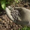 Pelleted Chicken Manure Fertiliser 20Kg (2) 6X Pelleted Chicken Manure Fertiliser 7Kg – Organic, Natural Soil & Plant Feed