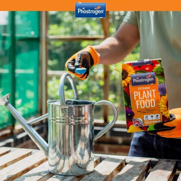 Phostrogen All Purpose Plant Food 40 Can