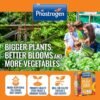 Phostrogen All Purpose Plant Food 80 Can (3) Phostrogen All Purpose Plant Food 80 Can
