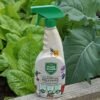 Plant Guard Organic 750ml (2) Plant Guard Organic 750ml Spray – Natural Ready-to-Use Protection for Plants, Safe for Pets & Wildlife