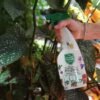 Plant Guard Organic 750ml (3) Plant Guard Organic 750ml Spray – Natural Ready-to-Use Protection for Plants, Safe for Pets & Wildlife