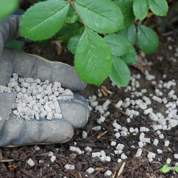 Q4 10Kg (2) Vitax Q4 Fertiliser 10Kg Powder – All-Purpose Plant Food for Flowers, Vegetables & Lawns