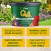 Q4 10Kg (4) Vitax Q4 Fertiliser 10Kg Powder – All-Purpose Plant Food for Flowers, Vegetables & Lawns