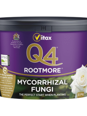 Q4 Rootmore 2 (1) Vitax Q4 Rootmore 2.5Kg – Mycorrhizal Root Growth Booster for Trees, Shrubs & Roses