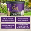 Q4 Rootmore 2 (2) Vitax Q4 Rootmore 2.5Kg – Mycorrhizal Root Growth Booster for Trees, Shrubs & Roses