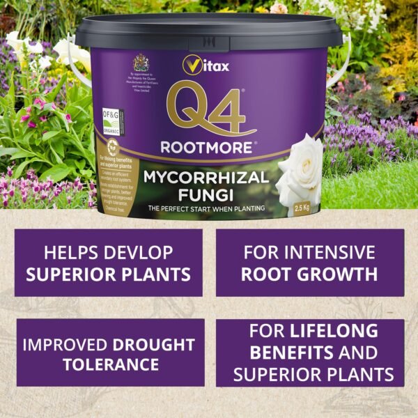 Q4 Rootmore 2 (2) Vitax Q4 Rootmore 2.5Kg – Mycorrhizal Root Growth Booster for Trees, Shrubs & Roses