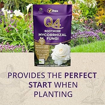 Q4 Rootmore 250g (3) Vitax Q4 Rootmore 250g – Mycorrhizal Root Growth Booster for Stronger, Healthier Plants