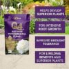 Q4 Rootmore 250g (4) Vitax Q4 Rootmore 250g – Mycorrhizal Root Growth Booster for Stronger, Healthier Plants