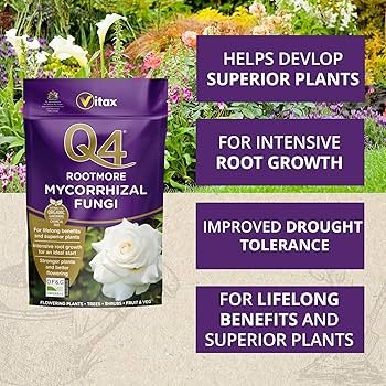 Q4 Rootmore 250g (4) Vitax Q4 Rootmore 250g – Mycorrhizal Root Growth Booster for Stronger, Healthier Plants