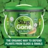 Slug Gone 10L (2) Slug Gone Wool Pellets 10L – Natural Slug & Snail Repellent, Pet & Child Safe