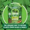 Slug Gone 3.5L (4) Slug Gone Wool Pellets 3.5L – Natural Slug & Snail Repellent, Pet & Child Safe