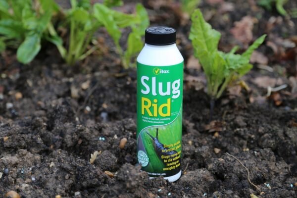 Slug Rid 500g (3) Slug Rid 500g – Ready-to-Use Organic Slug & Snail Killer with Ferric Phosphate