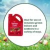 Tomato Feed 2L (3) Vitax Liquid Tomato Feed 2L – Concentrated Fertiliser for Juicy, Bumper Crops