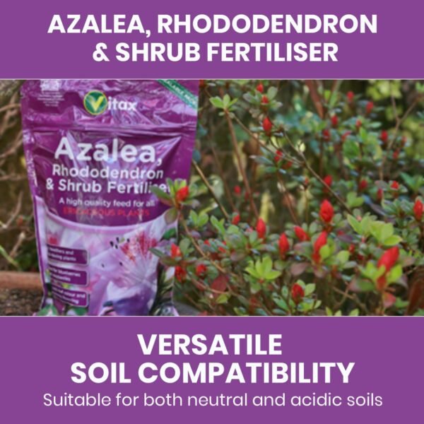 Vitax Azalea Rhododendron Shrub 0.9Kg (3) Vitax Azalea Rhododendron & Shrub Fertiliser 0.9Kg – Organic Feed for Acid-Loving Plants