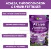 Vitax Azalea Rhododendron Shrub 0.9Kg (4) Vitax Azalea Rhododendron & Shrub Fertiliser 0.9Kg – Organic Feed for Acid-Loving Plants