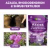 Vitax Azalea Rhododendron Shrub 0.9Kg (5) Vitax Azalea Rhododendron & Shrub Fertiliser 0.9Kg – Organic Feed for Acid-Loving Plants