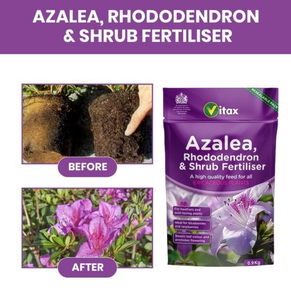 Vitax Azalea Rhododendron Shrub 0.9Kg (5) Vitax Azalea Rhododendron & Shrub Fertiliser 0.9Kg – Organic Feed for Acid-Loving Plants