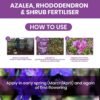 Vitax Azalea Rhododendron Shrub 0.9Kg (7) Vitax Azalea Rhododendron & Shrub Fertiliser 0.9Kg – Organic Feed for Acid-Loving Plants