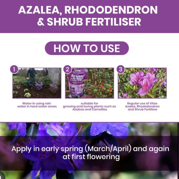 Vitax Azalea Rhododendron Shrub 0.9Kg (7) Vitax Azalea Rhododendron & Shrub Fertiliser 0.9Kg – Organic Feed for Acid-Loving Plants