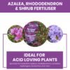 Vitax Azalea Rhododendron Shrub 0.9Kg (8) Vitax Azalea Rhododendron & Shrub Fertiliser 0.9Kg – Organic Feed for Acid-Loving Plants