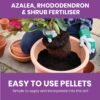 Vitax Azalea Rhododendron Shrub 0.9Kg (9) Vitax Azalea Rhododendron & Shrub Fertiliser 0.9Kg – Organic Feed for Acid-Loving Plants
