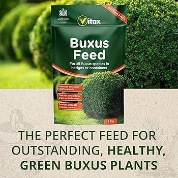 Vitax Buxus Pouch 1Kg (2) Vitax Buxus Feed 1Kg Pouch – Specialist Fertiliser for Healthy Buxus Hedges & Plants